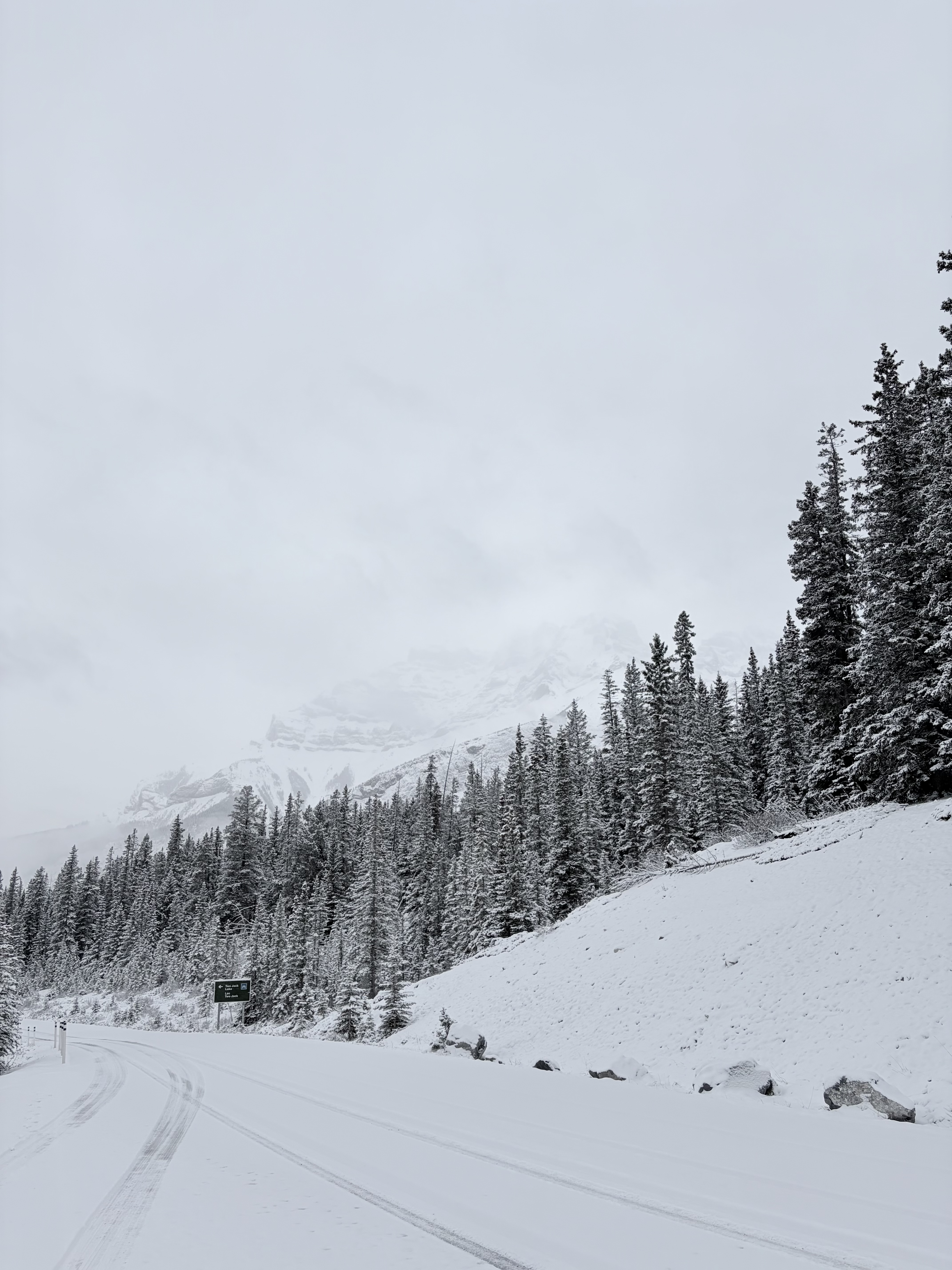 여행후기 이미지