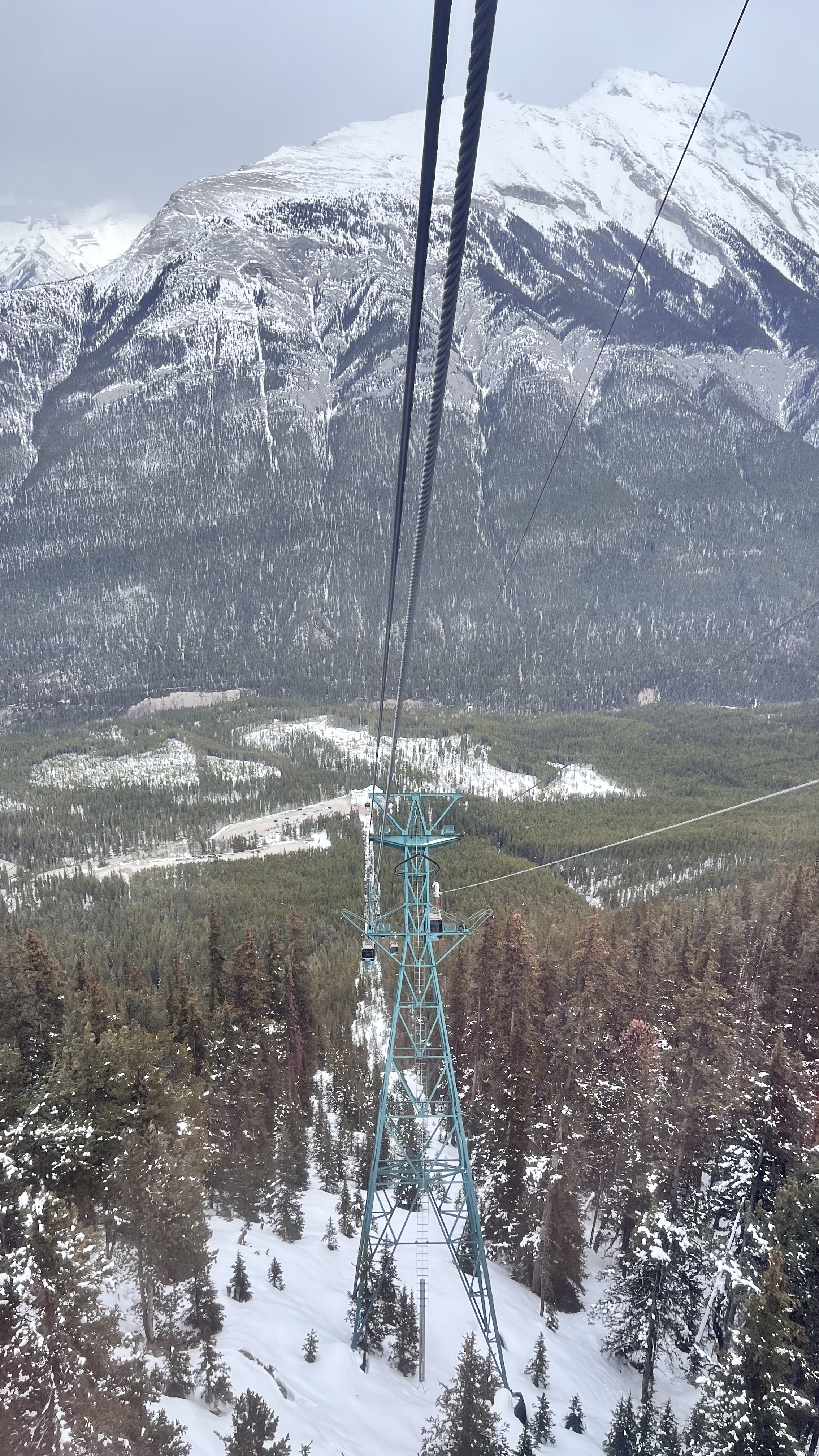 여행후기 이미지