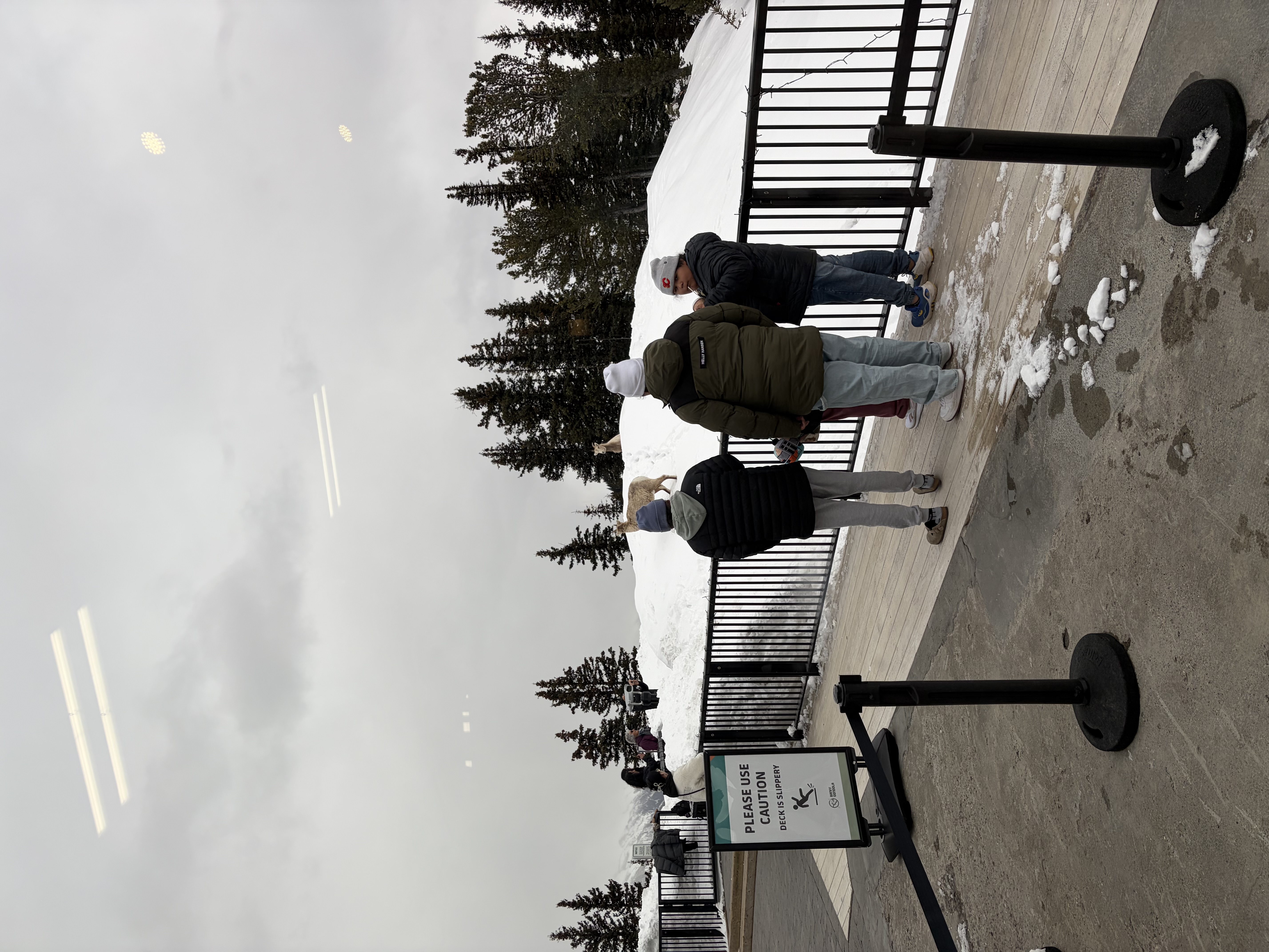 여행후기 이미지